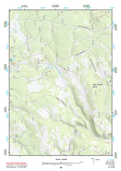 43119NE Page 25 Burns Topo Preview 1
