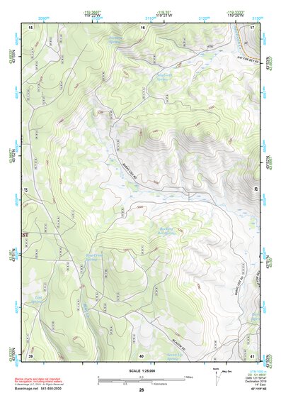 43119NE Page 28 Burns Topo Preview 1