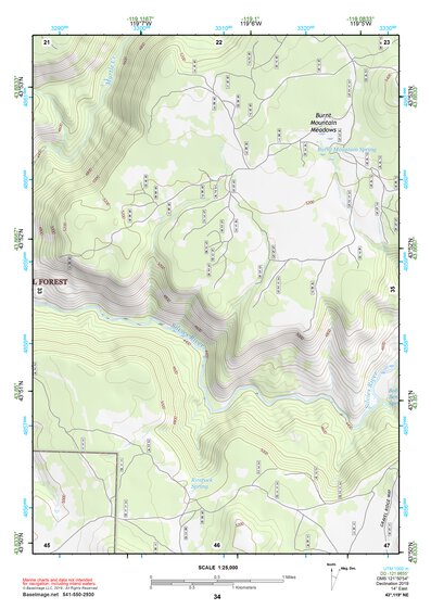 43119NE Page 34 Burns Topo Preview 1