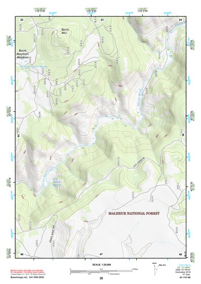 43119NE Page 35 Burns Topo Preview 1