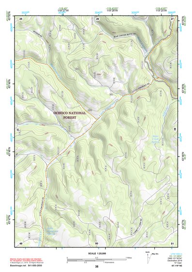 43119NE Page 38 Burns Topo Preview 1