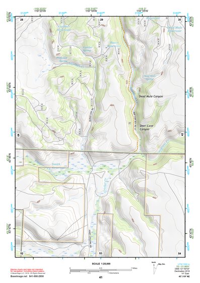43119NE Page 41 Burns Topo Preview 1