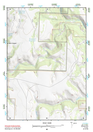 43119NE Page 42 Burns Topo Preview 1