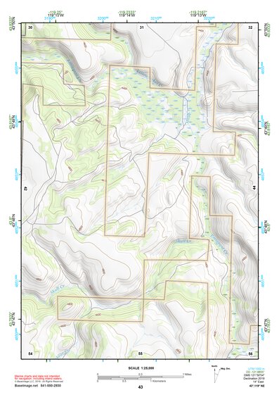 43119NE Page 43 Burns Topo Preview 1