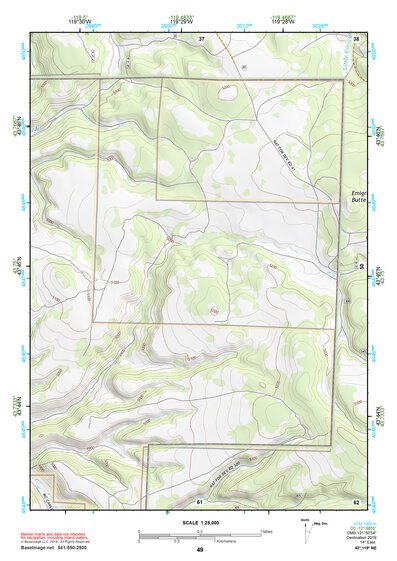 43119NE Page 49 Burns Topo Preview 1