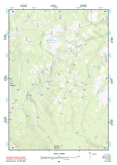 43119NE Page 51 Burns Topo Preview 1