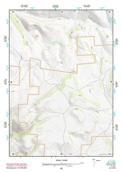43119NE Page 57 Burns Topo Preview 1