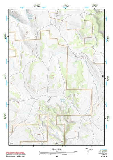 43119NE Page 58 Burns Topo Preview 1