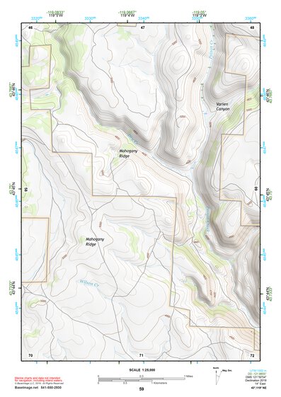 43119NE Page 59 Burns Topo Preview 1
