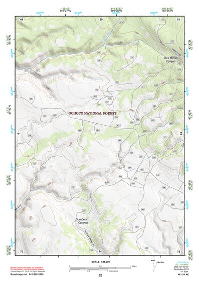 43119NE Page 62 Burns Topo Preview 1