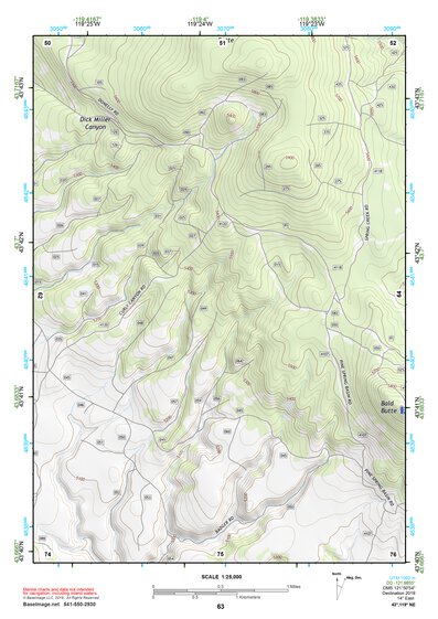 43119NE Page 63 Burns Topo Preview 1