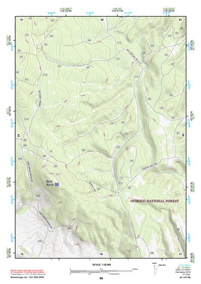 43119NE Page 64 Burns Topo Preview 1