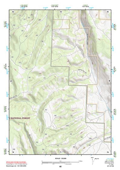 43119NE Page 65 Burns Topo Preview 1