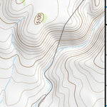 43119NE Page 74 Burns Topo Preview 3