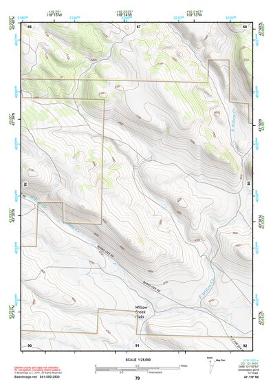43119NE Page 79 Burns Topo Preview 1