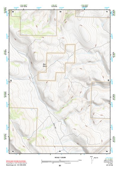 43119NE Page 81 Burns Topo Preview 1