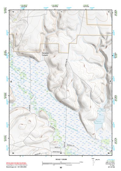 43119NE Page 83 Burns Topo Preview 1