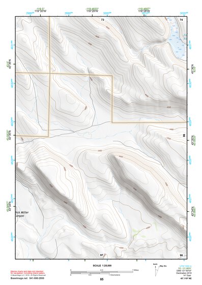 43119NE Page 85 Burns Topo Preview 1
