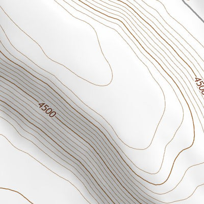 43119NE Page 85 Burns Topo Preview 3