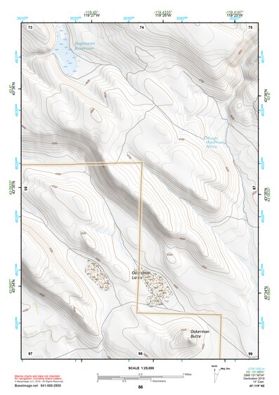 43119NE Page 86 Burns Topo Preview 1