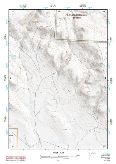 43119NE Page 87 Burns Topo Preview 1