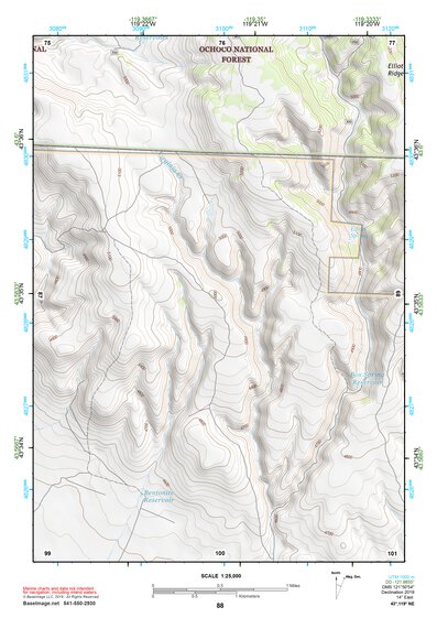 43119NE Page 88 Burns Topo Preview 1