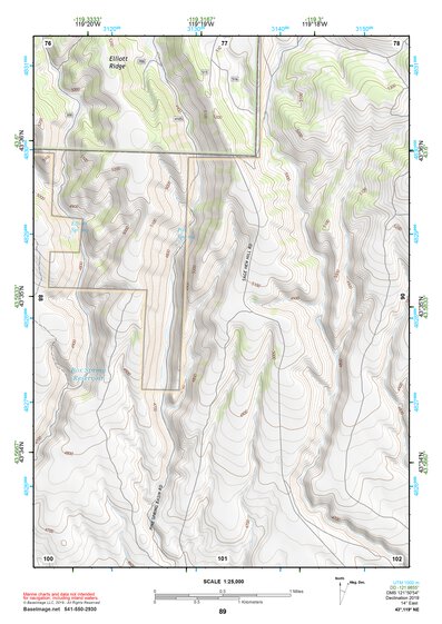 43119NE Page 89 Burns Topo Preview 1