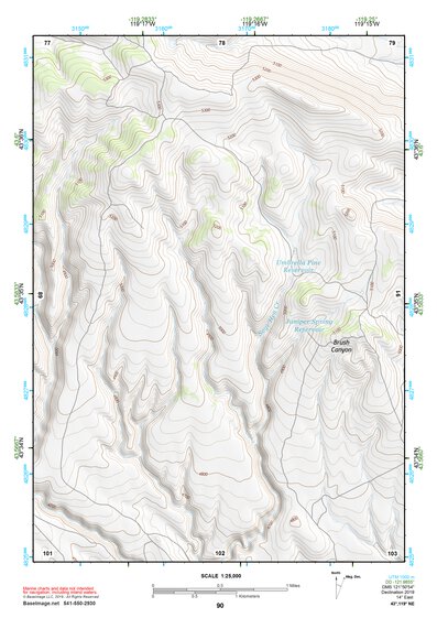 43119NE Page 90 Burns Topo Preview 1