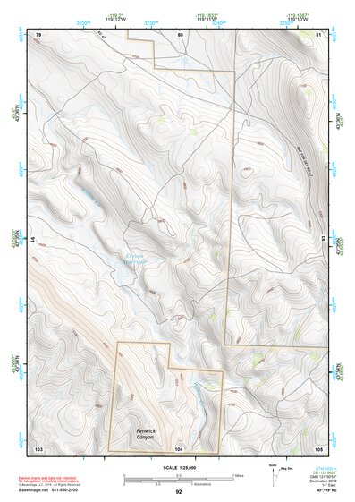 43119NE Page 92 Burns Topo Preview 1