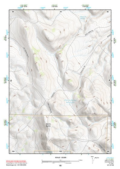 43119NE Page 93 Burns Topo Preview 1