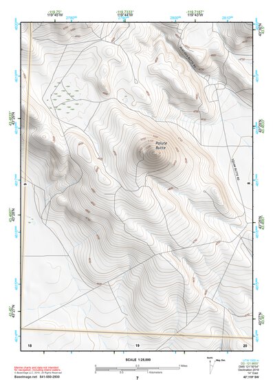 43119SW Page 7 Harney Lake Topo Preview 1
