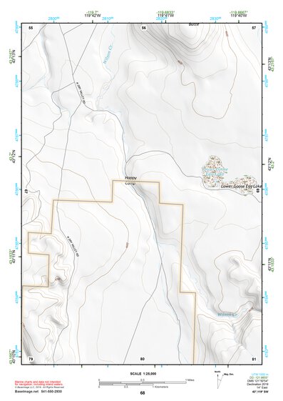 43119SW Page 68 Harney Lake Topo Preview 1