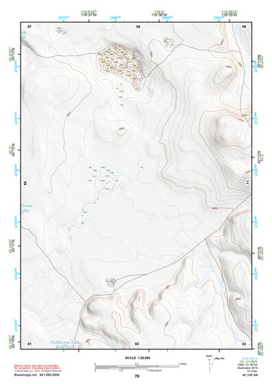 43119SW Page 70 Harney Lake Topo Preview 1