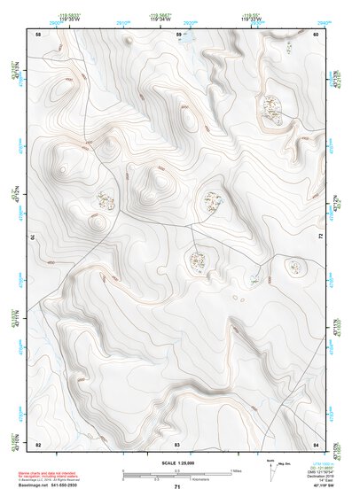 43119SW Page 71 Harney Lake Topo Preview 1