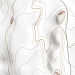 43119SW Page 80 Harney Lake Topo Preview 2