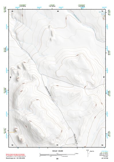 43119SW Page 81 Harney Lake Topo Preview 1