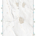 43119SW Page 84 Harney Lake Topo Preview 1