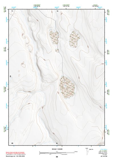 43119SW Page 84 Harney Lake Topo Preview 1