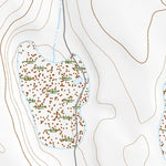 43119SW Page 84 Harney Lake Topo Preview 3