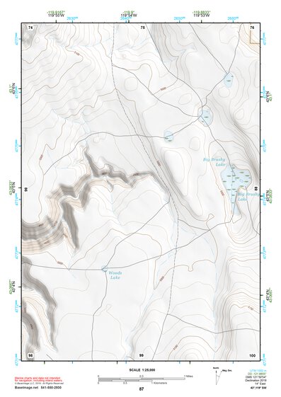 43119SW Page 87 Harney Lake Topo Preview 1