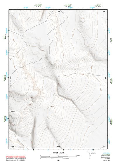 43119SW Page 90 Harney Lake Topo Preview 1