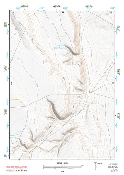 43119SW Page 101 Harney Lake Topo Preview 1