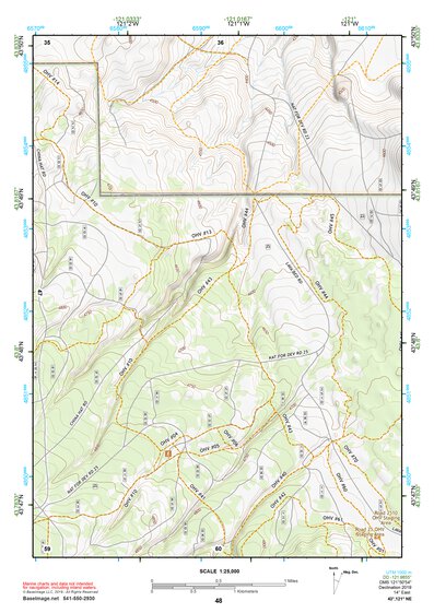 43121NE Page 48 La Pine Topo Preview 1