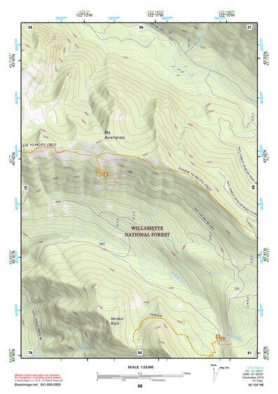 43122NE Page 68 Oakridge Topo Preview 1