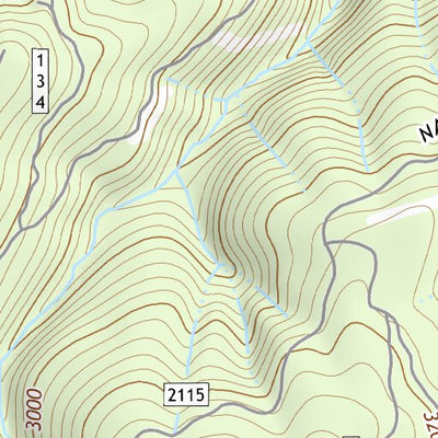 43122NE Page 73 Oakridge Topo Preview 2