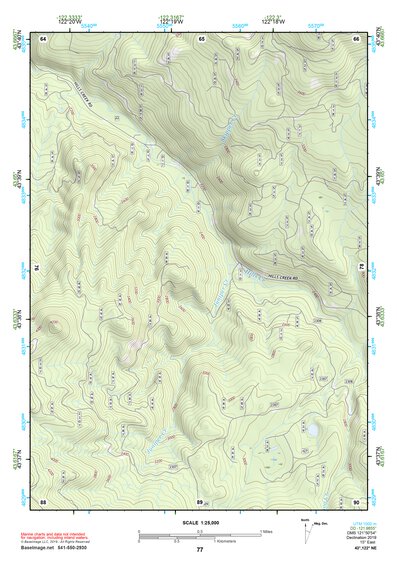 43122NE Page 77 Oakridge Topo Preview 1