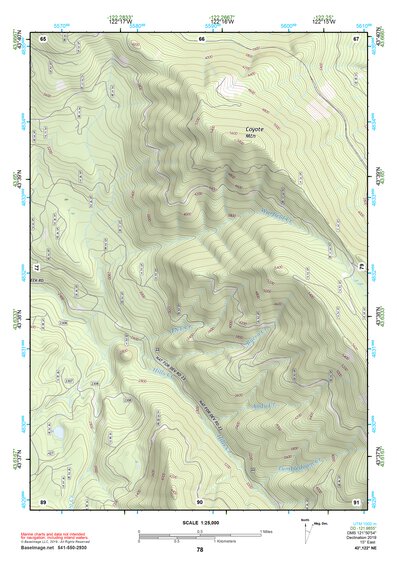 43122NE Page 78 Oakridge Topo Preview 1