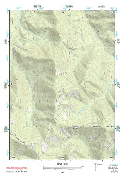 43122NE Page 90 Oakridge Topo Preview 1