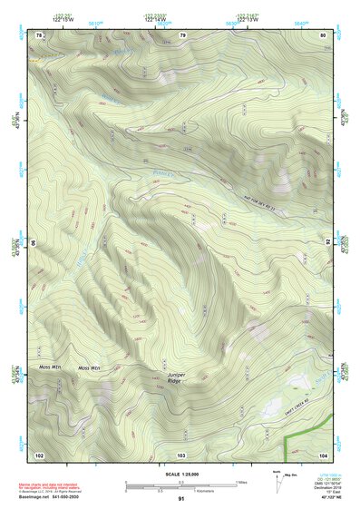 43122NE Page 91 Oakridge Topo Preview 1