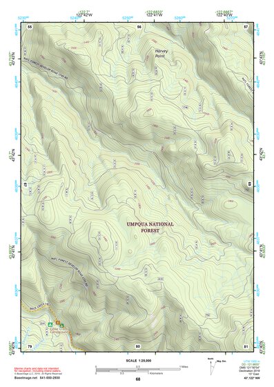 43122NW Page 68 Oakridge Topo Preview 1